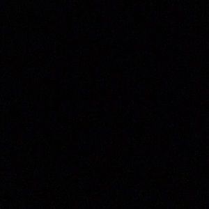 Meet your Posher, Shelley